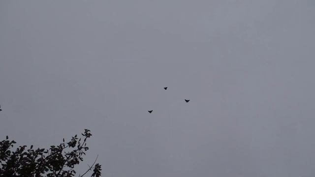 С днем рождения Юр.Ив.Гайдаренко 07.10.19. смотреть онлайн