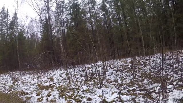 Открытие охоты на зайца смотреть онлайн