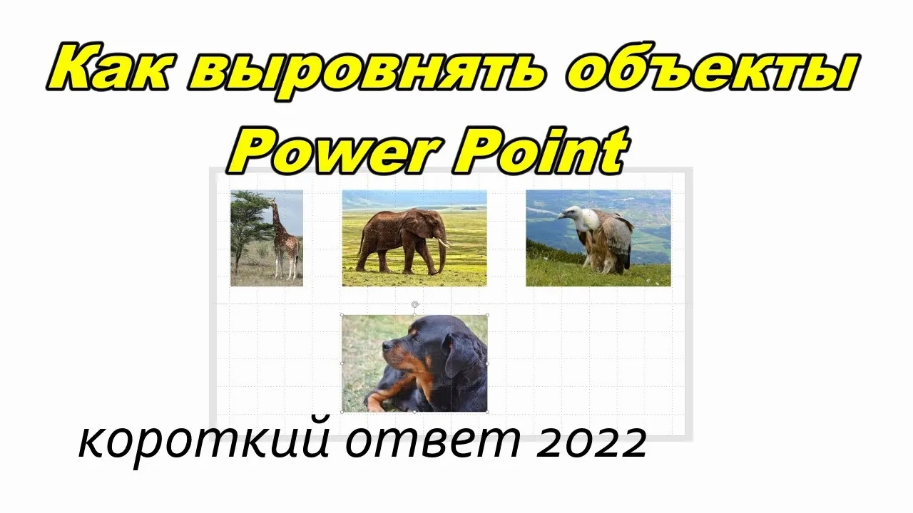 Как легко и быстро выровнять объекты Power Point смотреть онлайн