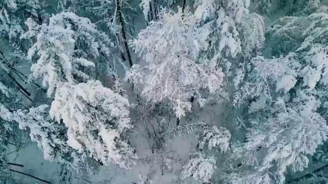 Зимний сад - ( Алексей Глызин) смотреть онлайн