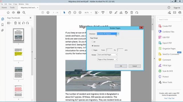 How to Rotate Pages in a PDF using adobe acrobat pro dc смотреть онлайн