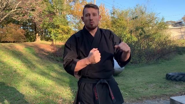 SEISHIN KARATE GI | Review and Unboxing! смотреть онлайн