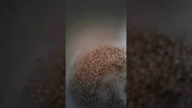 Завтрак для ДЦПульки смотреть онлайн