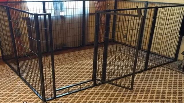 Барьер для собак: перегородка в квартиру смотреть онлайн