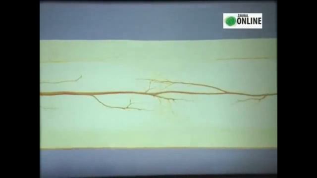 Онлайн - знакомство «Кавалер Ордена улыбки» (Гавриил Абрамович Илизаров) смотреть онлайн