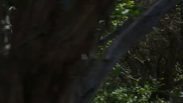 DJI Phantom Official Quadcopter смотреть онлайн