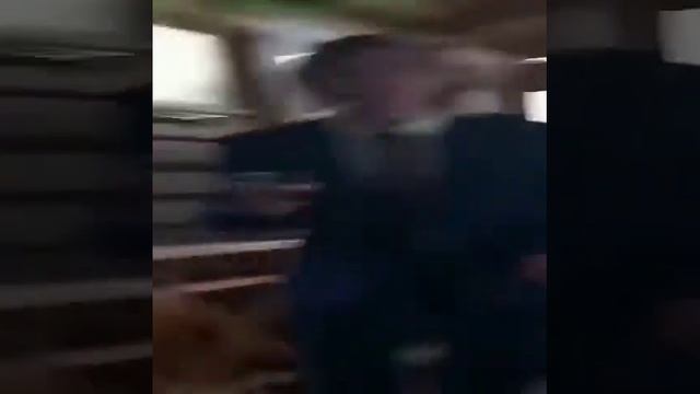 Райан Гослинг идёт под Райана Гослинга смотреть онлайн