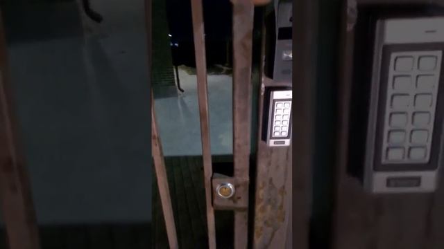 Комплект аналогового видеодомофона HiWatch DS D100K с кодонаборной панелью Tantos смотреть онлайн