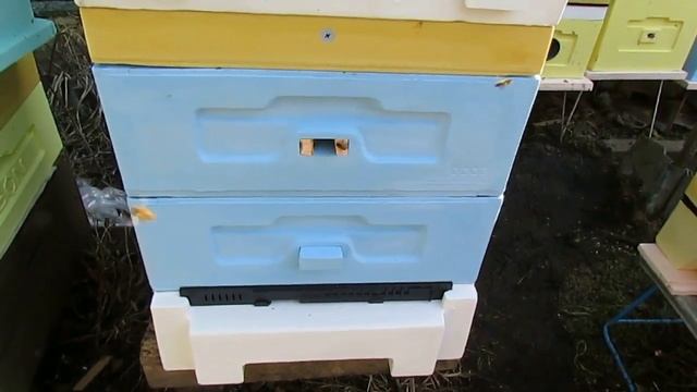 ответы на вопросы по улью биненхаус ( Bienenhaus ) - верхний или нижний леток в улье, какой открыть