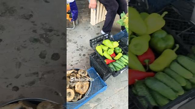 Живем на пенсии в России.