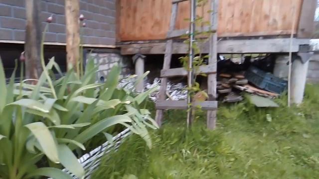 ВЛОГ: Купили СВЧ, странные плодовые деревья, подарки смотреть онлайн