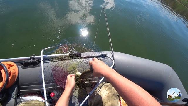 БЕШЕНЫЙ КЛЕВ. ЛОВЛЯ ЛЕЩА. ЛОВЛЯ ТАРАНИ. РЫБАЛКА НА ДОНУ ЛЕТОМ. ЛОВЛЯ НА ФИДЕР. РЫБАЛКА 2020. смотреть онлайн