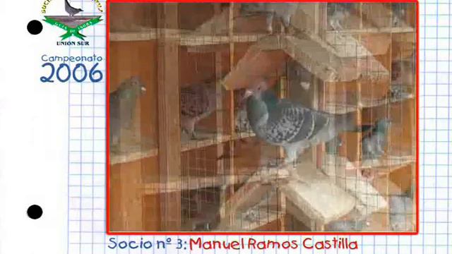 Manuel Ramos Castilla смотреть онлайн