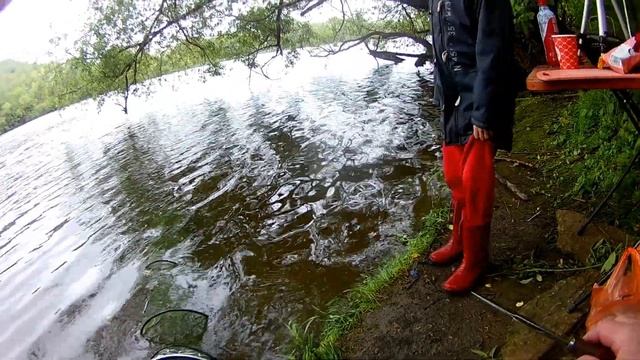 Воскресенск М р Рыбалка с Диманом бешеный клёв смотреть онлайн