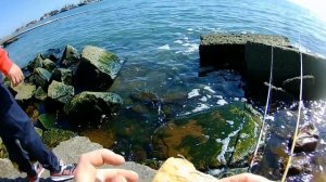 БЫЧоК. Рыбалка на Азовском море, первая рыбалка сезона.