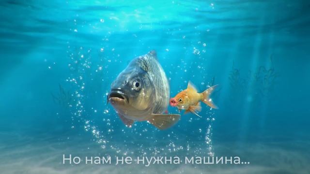 Машины продаются на авэ смотреть онлайн