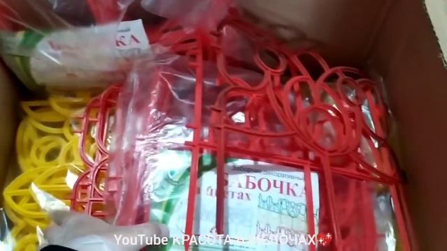 ?НАДО БРАТЬ⭕СВЕТОФОР ПЕРЕПОЛНЕН!?Всё по очень низкой цене!?Горы товаров ПРИВЕЗЛИ ВНОВЬ!? смотреть онлайн