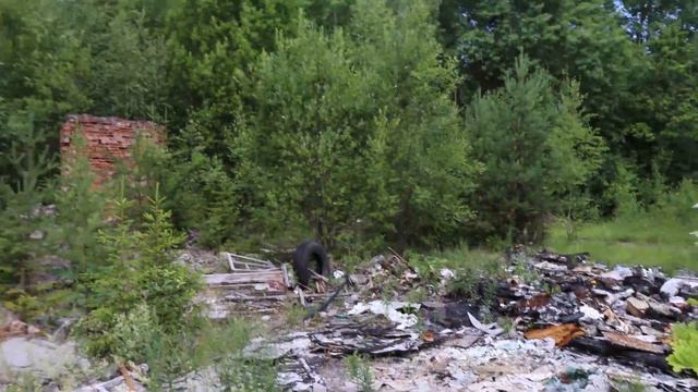 Турбаза Поддубская, Ленинградская область. смотреть онлайн