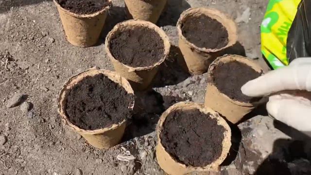 Покупки/Жарю рыбу/Работаем/Алёна Петручук✌️ смотреть онлайн