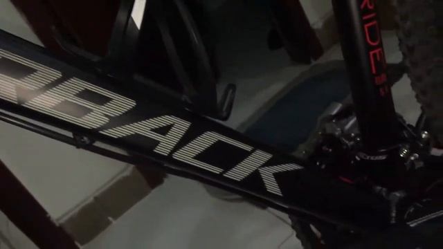 SILVERBACK STRIDE 29ERS SMALL FRAME смотреть онлайн
