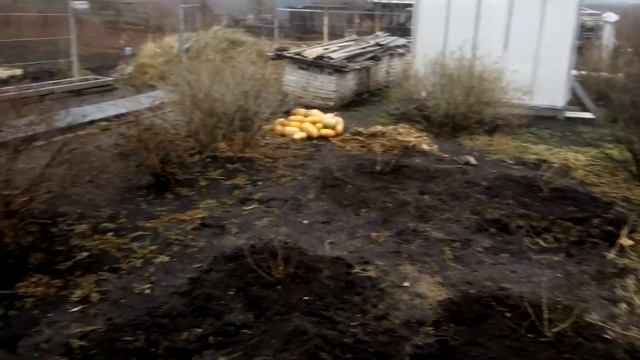 Короба для винограда - 1 смотреть онлайн