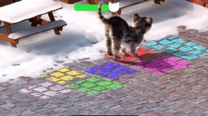 LITTLE KITTEN ADVENTURE - SPECIAL ADVENTURE JOURNEY OF ANIMAL FRIENDS AND LITTLE KITTEN - LONG VIDE