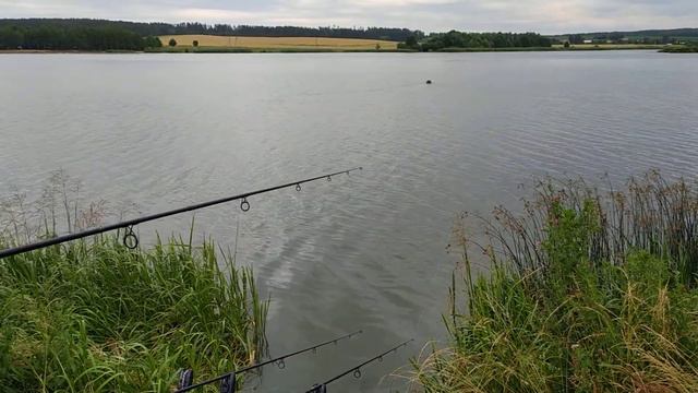 Фишбот на рыбалке 4-7.07.2020 смотреть онлайн