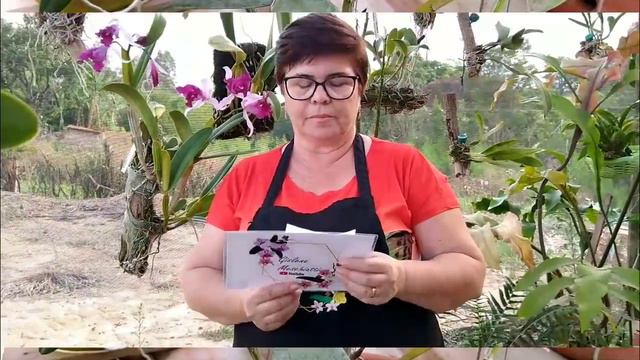 🛑🚥 SERÁ QUE PODE PLANTAR CATTLEYA NA TERRA?? 🤔 E PHALAENOPSIS?? 🤔 VAMOS VER ISSO 👍 смотреть онлайн