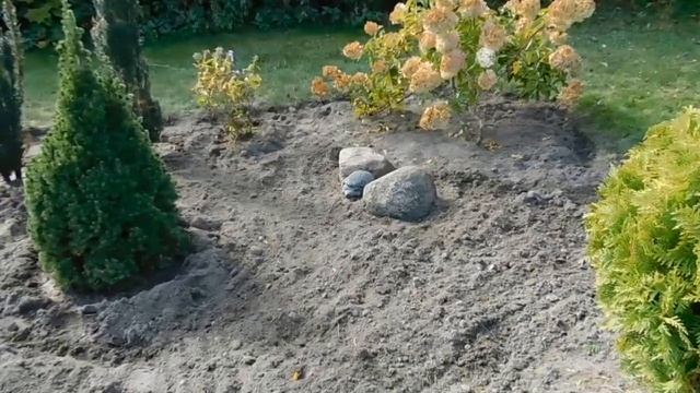 Реконструкция садаЧасть третья. Стараемся не делать ошибок. смотреть онлайн