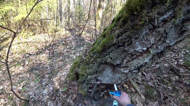 2019_04_06 Совмещение приятного с полезным. р.Вилия смотреть онлайн