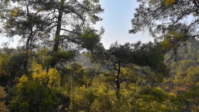 Мои путешествия Турция От подножия горы Химера к вершине Огонь Июль 2014, смотреть онлайн