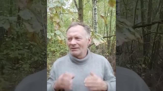 Стоит ли торговать на опционах? смотреть онлайн