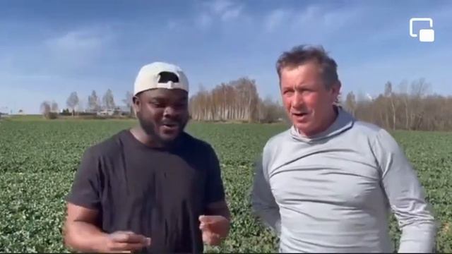 Гімн Українських січових стрільців "Ой у лузі червона калина похилилася" крокує Світом смотреть онлайн