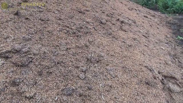 Чем можно разрыхлить почву!? смотреть онлайн