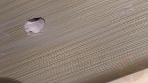 Дыра в сайдинге заделываем своими руками