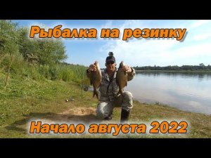 Рыбалка на резинку  Начало августа 2022