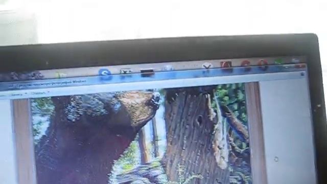 КАК ПРОСТО СКОПИРОВАТЬ РИСУНОК НА ХОЛСТ, ИМЕЯ ВОЗМОЖНОСТЬ ИЗМЕНЯТЬ РАЗМЕР РИСУНКА. смотреть онлайн