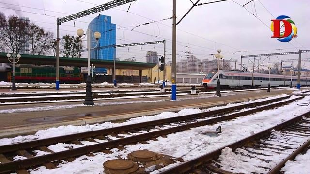 Новогодние хобби и развлечения