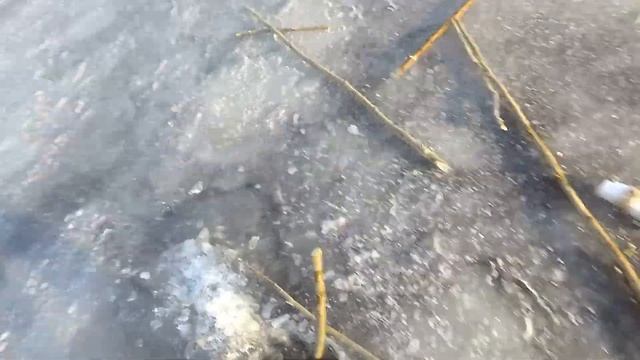 Как установить #тычки на речного монстра(#налима)! Winter fishing! Вилюйск. Якутия. 24.10.2021г. смотреть онлайн