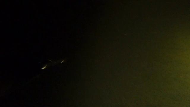 подводная охота на веселовском водохранилище июль 2022 Spearfishing