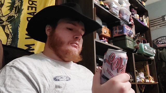 Faygo Firework Soda 12 FL OZ Can Sip N Review смотреть онлайн