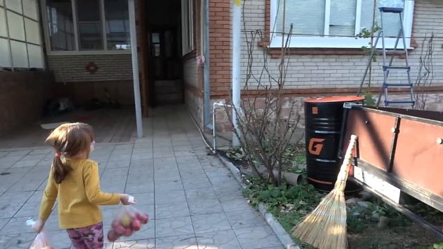 Как будто не переезжали . Дарина хочет подстричь себе чёлку . 7.09.21. смотреть онлайн