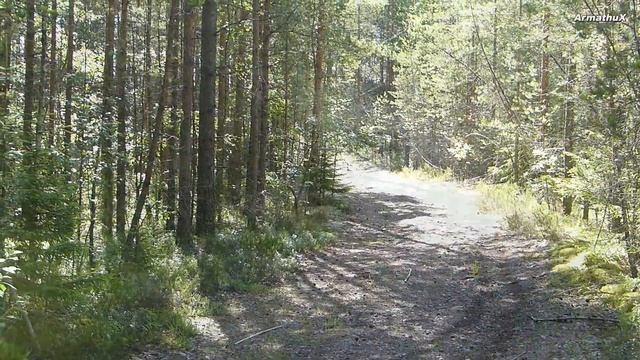 BSE 160 PitBike Riding