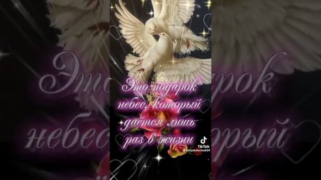 ???музыка и любовь?"два воркующих голубя"??так красиво!???#love ?#schortz tatyana смотреть онлайн