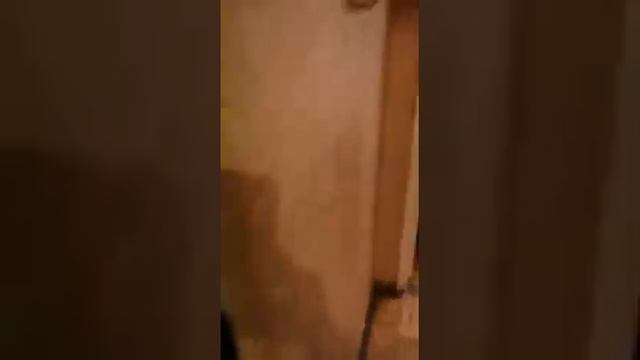 василисы кожиной смотреть онлайн