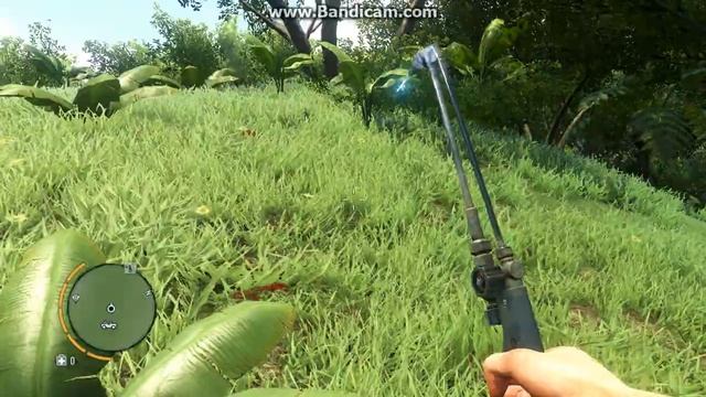 FAR CRY 3 туризм поиски и охота на варана смотреть онлайн