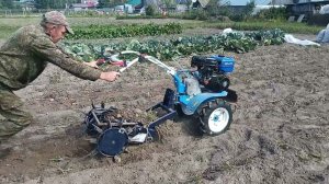 Мотоблок Нева и Картофелекопалка НЕВА