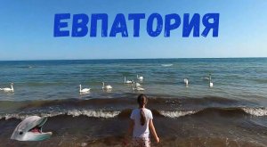 Севастополь-Евпатория /Цены на рынке Евпатории /Мёртвый дельфин