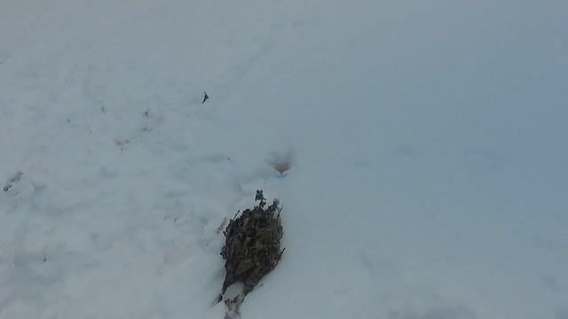 работа печи после установки турболизатора смотреть онлайн