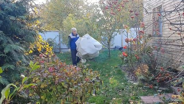 Готовим к зиме теплицу. ЧудоТеплица "Сибирский агроном" смотреть онлайн